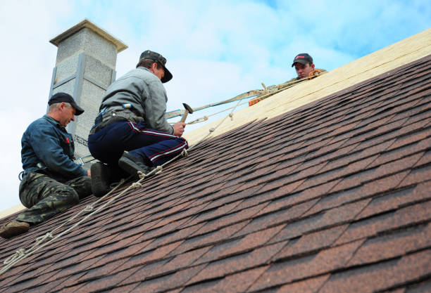 Roof Gutter Cleaning in Steelville, MO